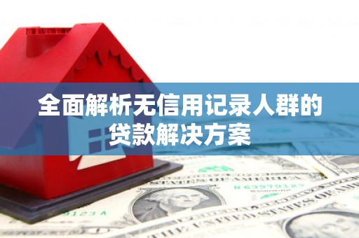 邵阳县全面解析无信用记录人群的贷款解决方案