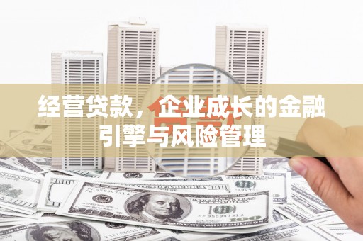 邵阳县经营贷款，企业成长的金融引擎与风险管理