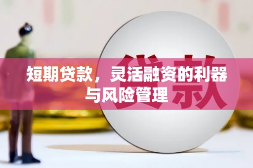 邵阳县短期贷款，灵活融资的利器与风险管理
