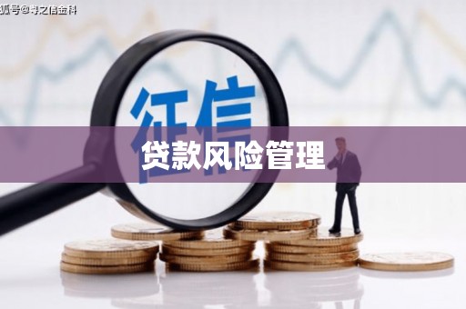 邵阳县贷款风险管理