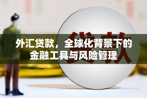 邵阳县外汇贷款，全球化背景下的金融工具与风险管理