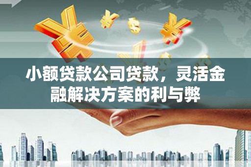 邵阳县小额贷款公司贷款，灵活金融解决方案的利与弊