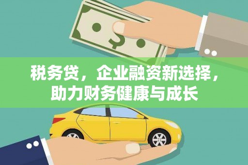 邵阳县税务贷，企业融资新选择，助力财务健康与成长