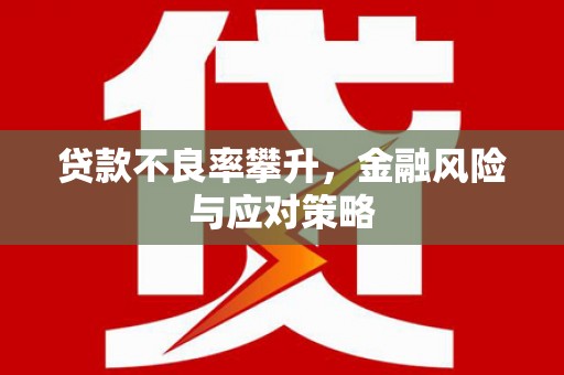 邵阳县贷款不良率攀升，金融风险与应对策略