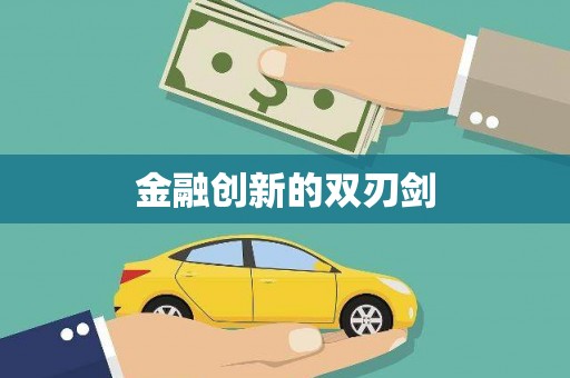 邵阳县金融创新的双刃剑