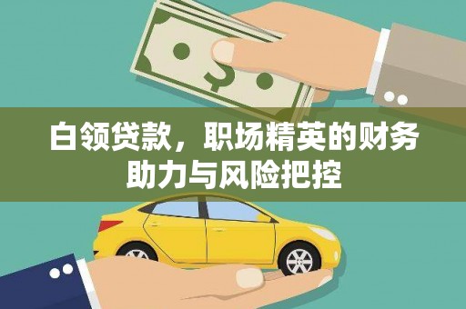 邵阳县白领贷款，职场精英的财务助力与风险把控