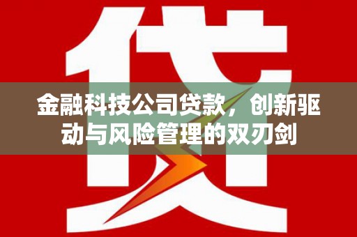 邵阳县金融科技公司贷款，创新驱动与风险管理的双刃剑