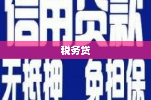 邵阳县税务贷